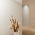 Apartamento Banofi Flats - Aiora *
