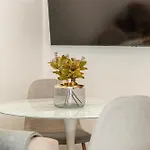 Apartamento Banofi Flats - Aiora