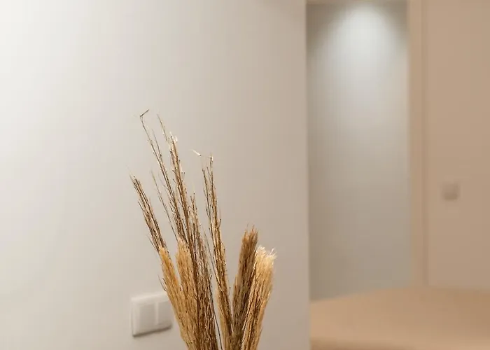 Appartement Deluxe - Aiora *