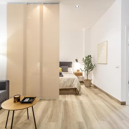 Deluxe - Aiora Apartment